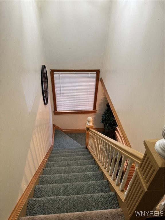 stairway with carpet floors