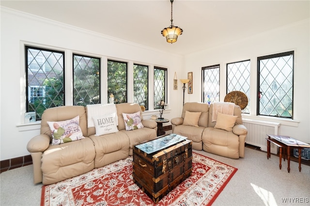 living room featuring carpet flooring, radiator heating unit, and crown molding