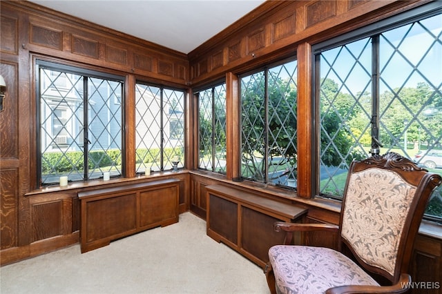 sunroom with a wealth of natural light