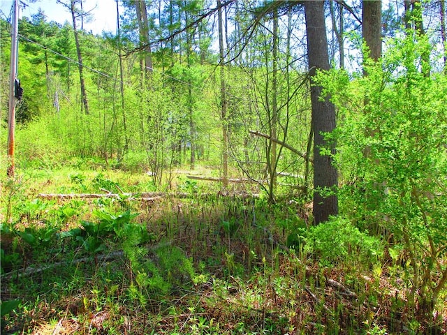 0 Prevost Pl, Middlefield, NY 13326