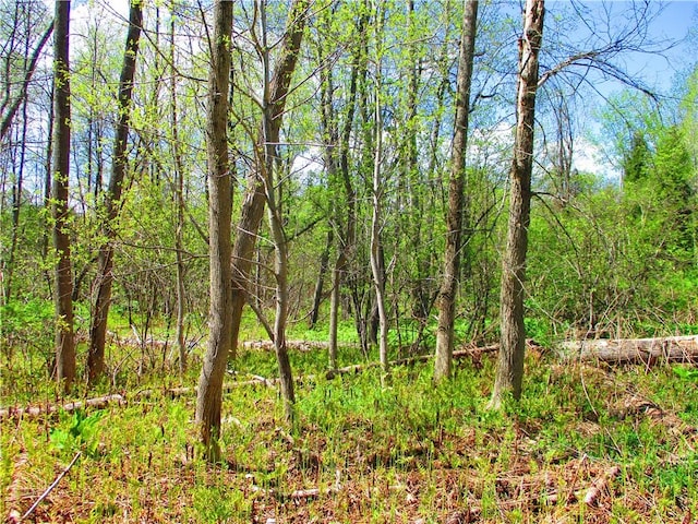 0 Prevost Pl, Middlefield, NY 13326