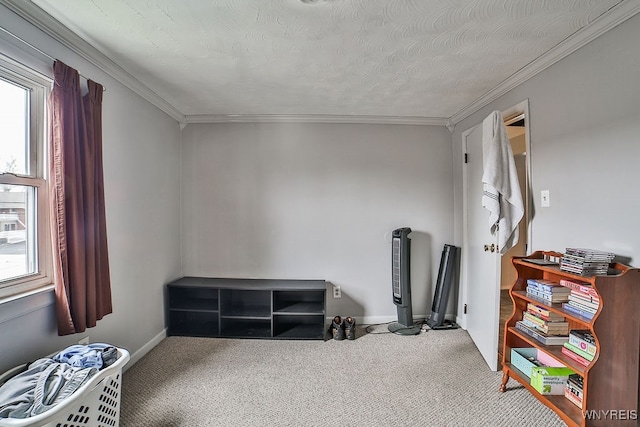 bedroom with a textured ceiling, carpet floors, and crown molding