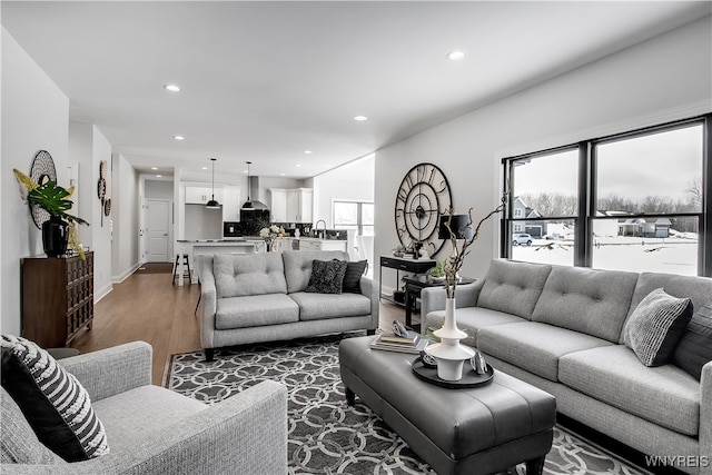 living room featuring dark hardwood / wood-style flooring