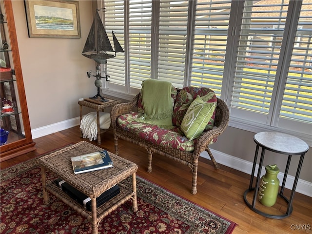 living room featuring wood-type flooring