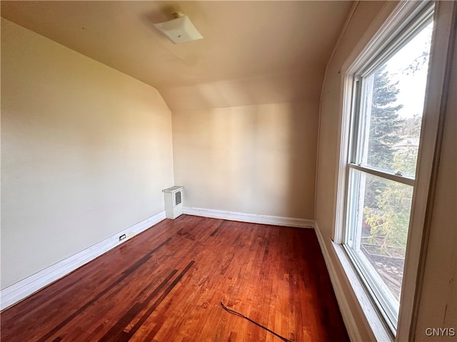 empty room with hardwood / wood-style flooring, a healthy amount of sunlight, and lofted ceiling