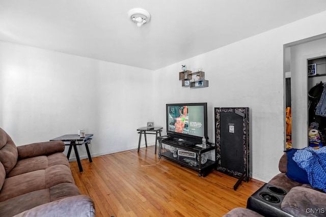 living room featuring wood-type flooring