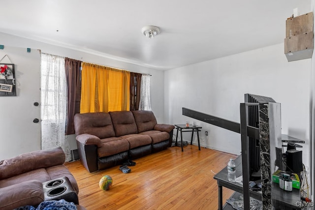 living room with wood-type flooring