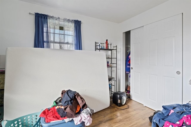 bedroom featuring wood-type flooring