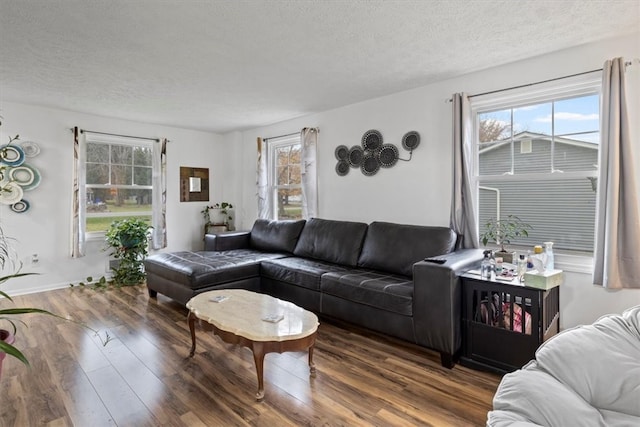 living room with dark hardwood / wood-style flooring and a textured ceiling