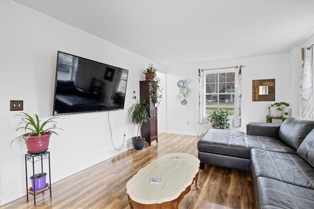 living room featuring hardwood / wood-style floors