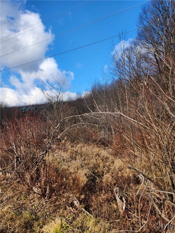 Old State Rd, Nelson NY, 13061 land for sale