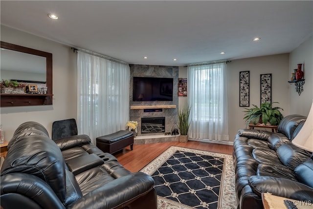 living room featuring hardwood / wood-style flooring and a fireplace