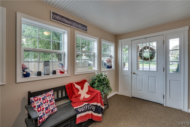 interior space with carpet floors