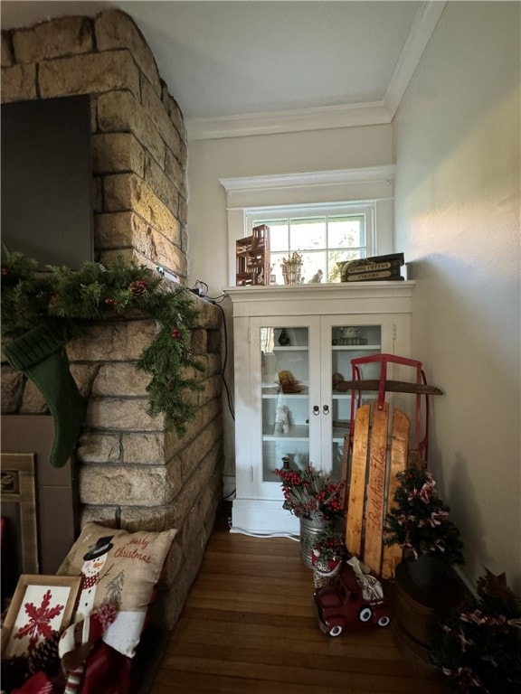 interior space with crown molding and dark wood-type flooring