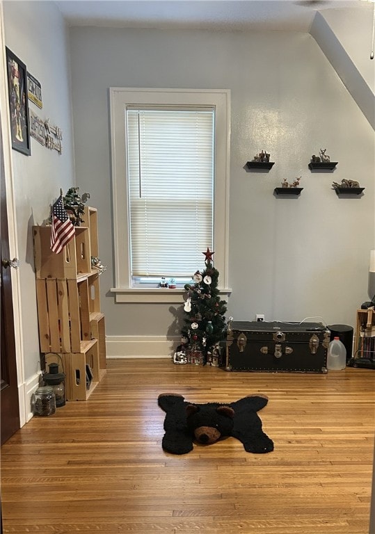 interior space with hardwood / wood-style floors