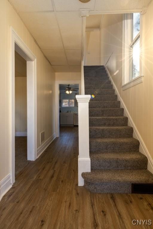 stairway featuring ceiling fan and wood-type flooring