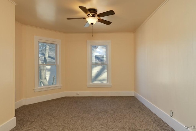 spare room with carpet flooring, ceiling fan, and ornamental molding