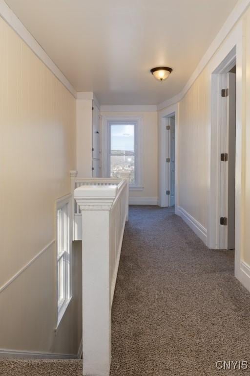 hallway with ornamental molding and dark colored carpet