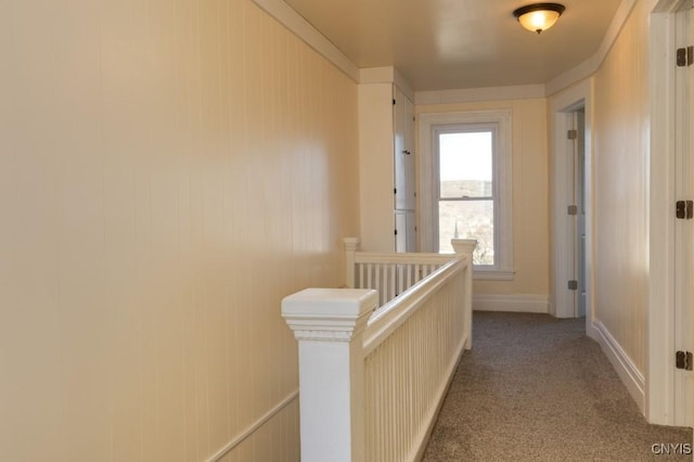 hallway featuring carpet