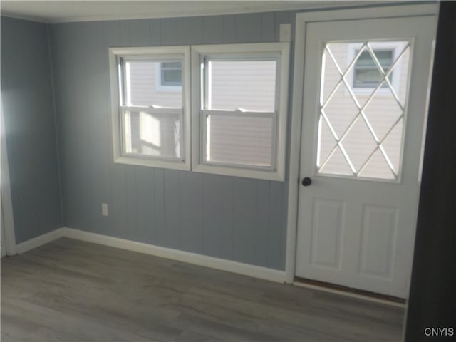 doorway with a wealth of natural light and hardwood / wood-style floors