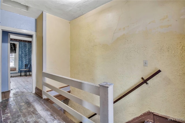 staircase featuring hardwood / wood-style floors