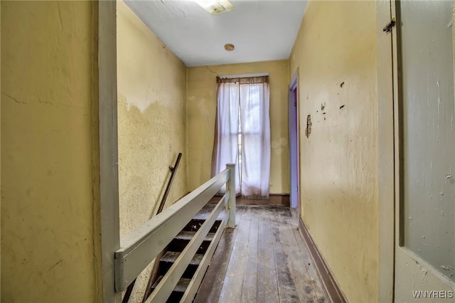 hallway featuring wood-type flooring