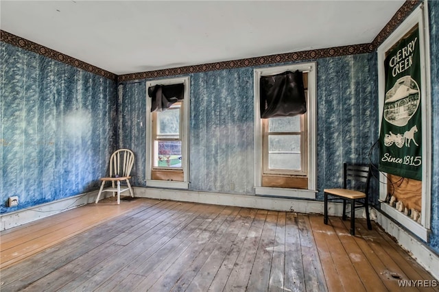 interior space featuring hardwood / wood-style floors and a wealth of natural light