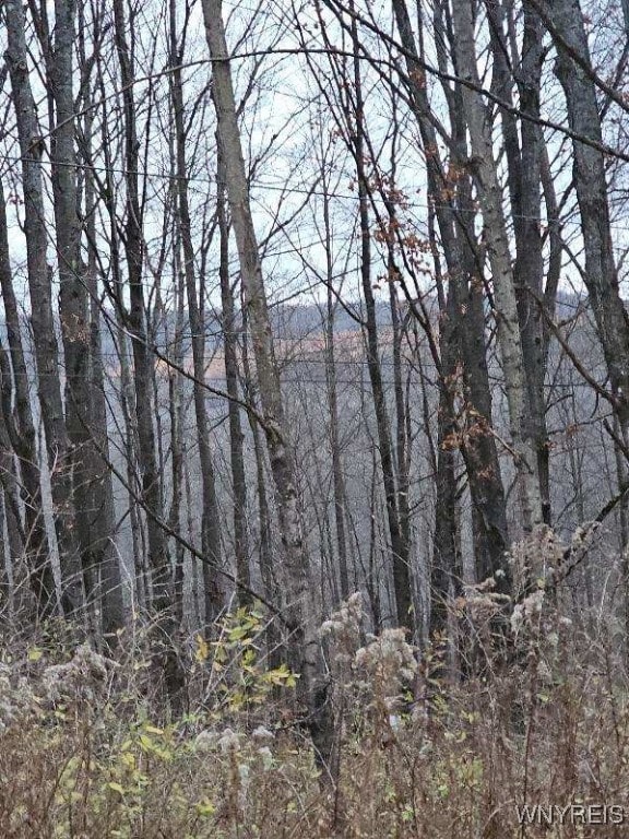 0 Malone Rd, Birdsall NY, 14822 land for sale