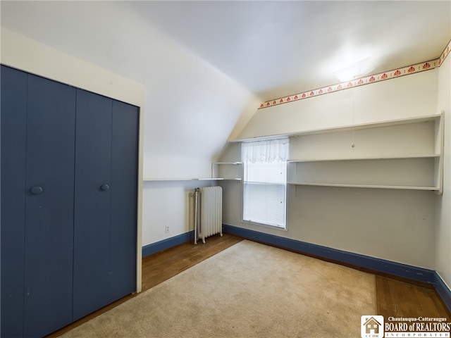 additional living space featuring radiator heating unit, lofted ceiling, and wood-type flooring