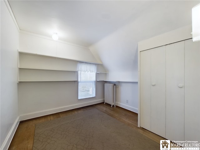 bonus room featuring lofted ceiling, radiator heating unit, and dark wood-type flooring