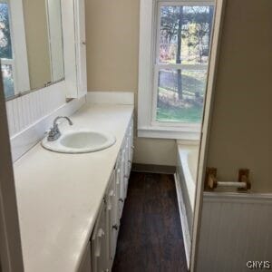 bathroom featuring a washtub, vanity, and wood-type flooring