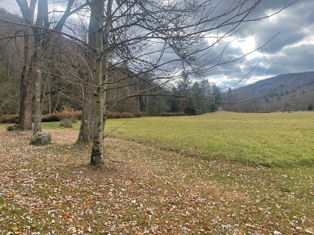 view of yard with a mountain view