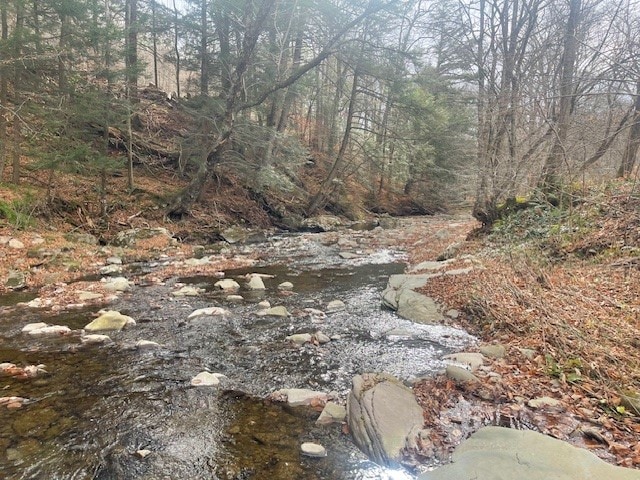 view of local wilderness