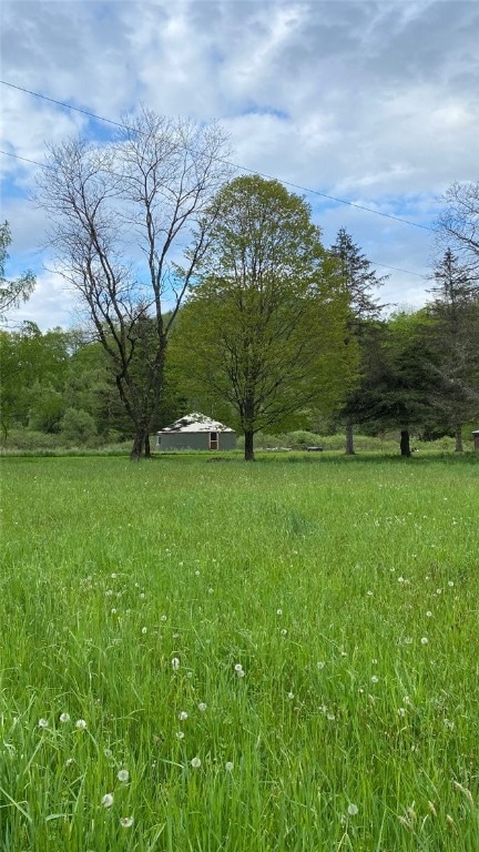 view of yard featuring a rural view