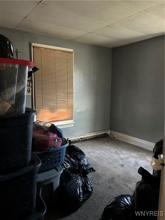 interior space featuring carpet flooring and a drop ceiling