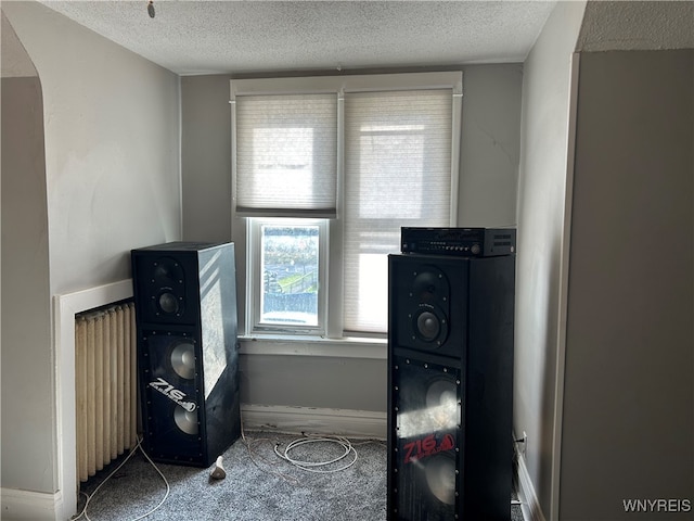 laundry room featuring carpet, a textured ceiling, and radiator