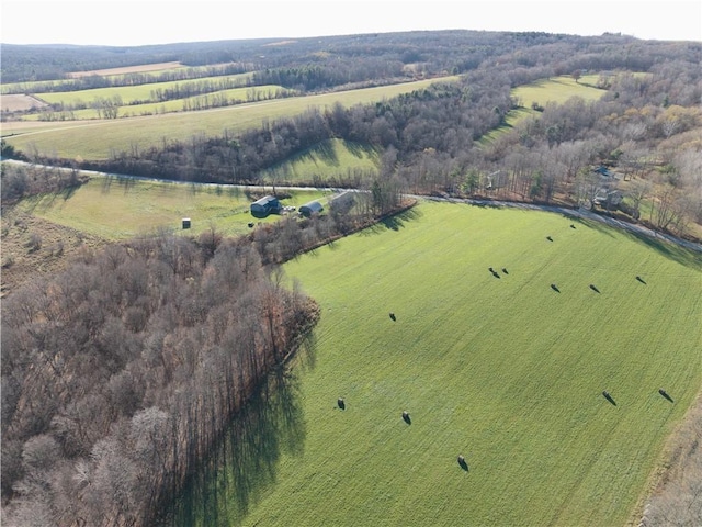 drone / aerial view with a rural view