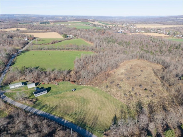 birds eye view of property with a rural view