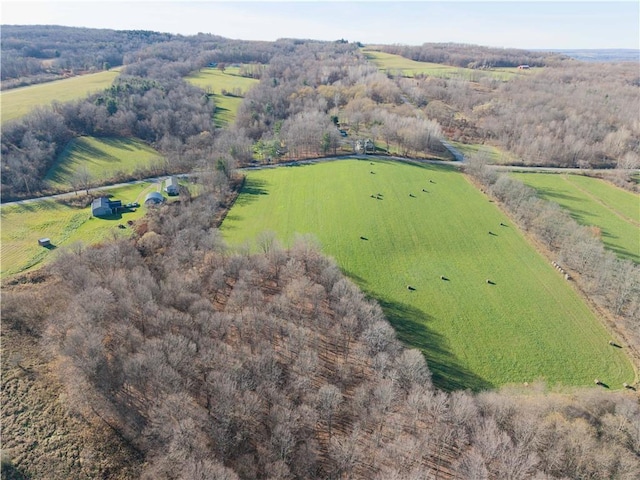 drone / aerial view featuring a rural view