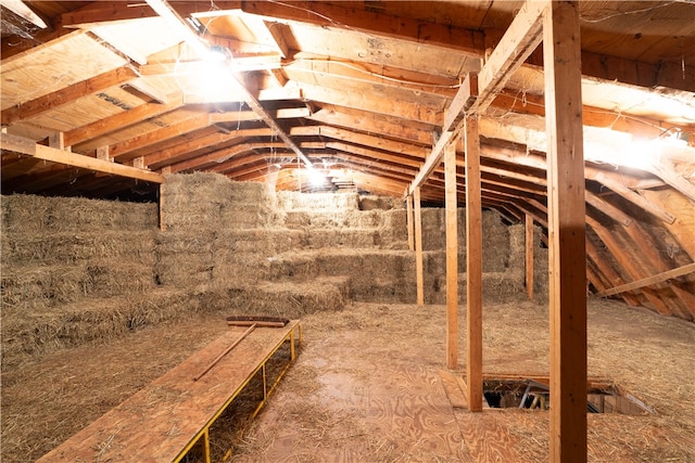 view of unfinished attic