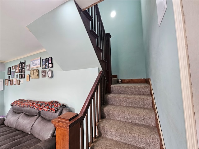 stairs with crown molding