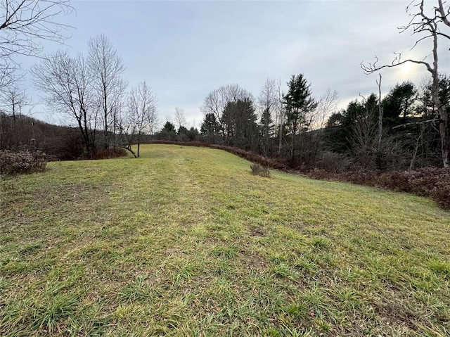 view of yard with a rural view