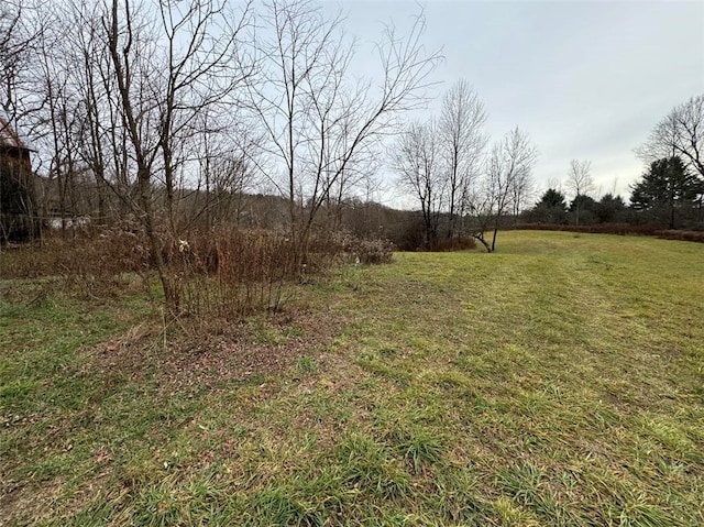 view of yard featuring a rural view