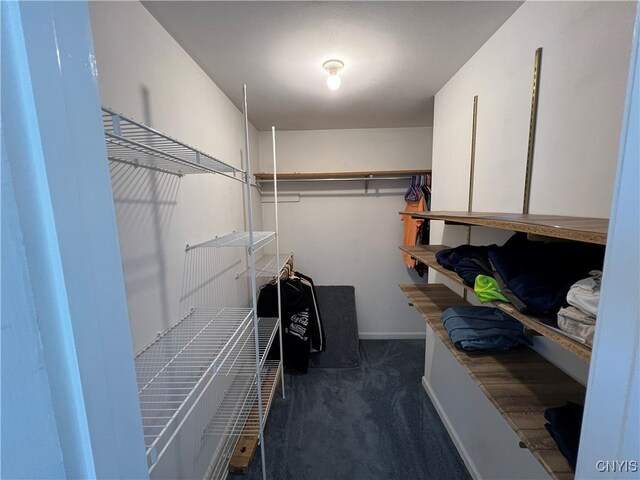 spacious closet with dark colored carpet