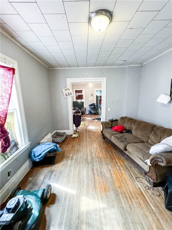 living room with wood-type flooring and ornamental molding