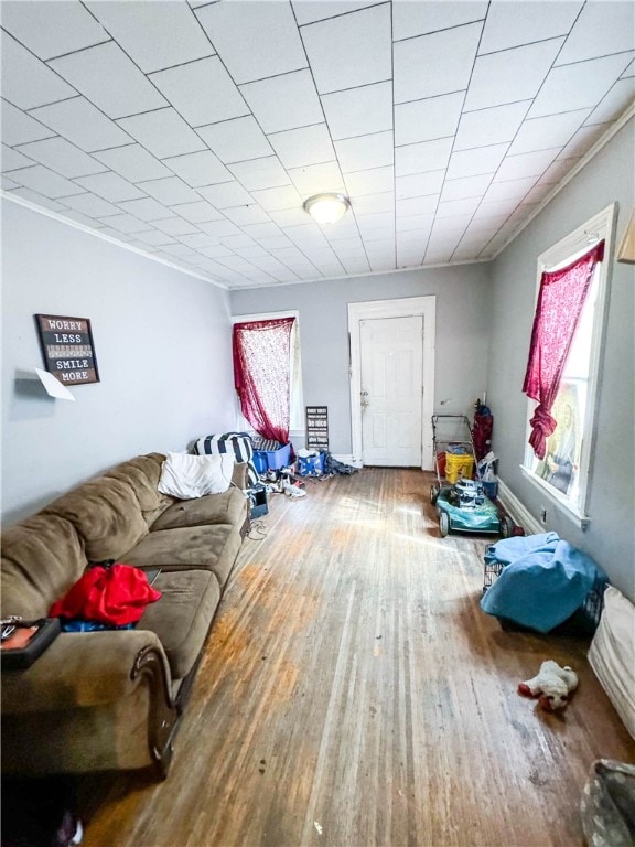 living room with hardwood / wood-style flooring and crown molding