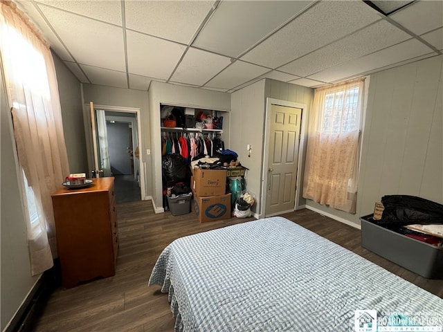 bedroom featuring a closet, dark hardwood / wood-style flooring, and a drop ceiling