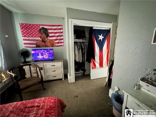 carpeted bedroom featuring a closet