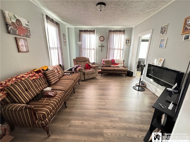 living room featuring wood-type flooring and ornamental molding