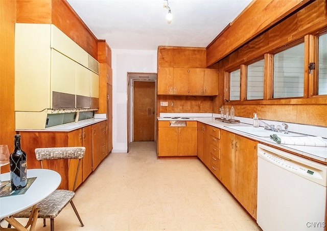 kitchen with dishwasher and sink